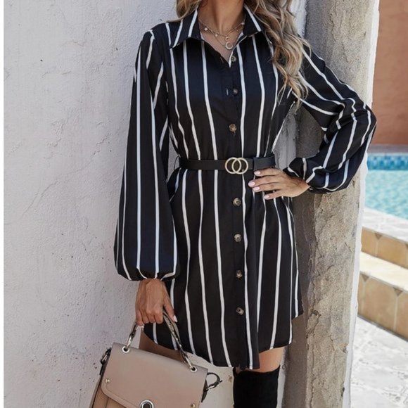 Dresses & Skirts - Striped Curved Hem Belted Shirt Dress